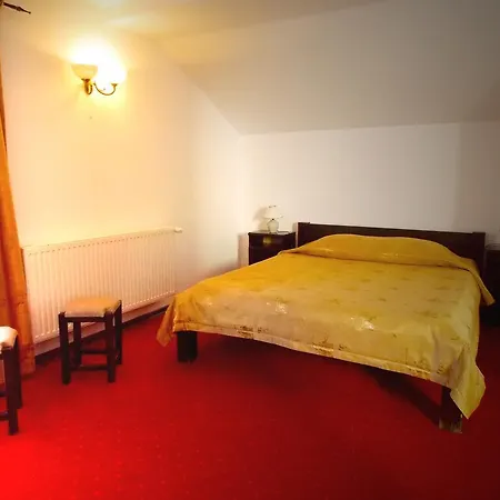 Casa Olteanu Guest house *