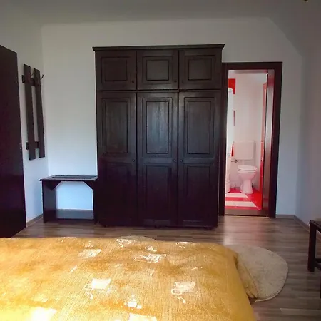 Guest house Casa Olteanu