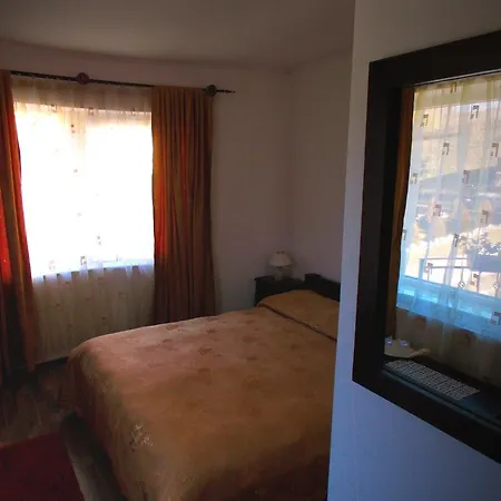 Casa Olteanu Guest house Moieciu de Jos