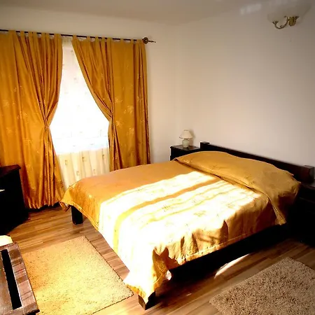 Guest house Casa Olteanu *