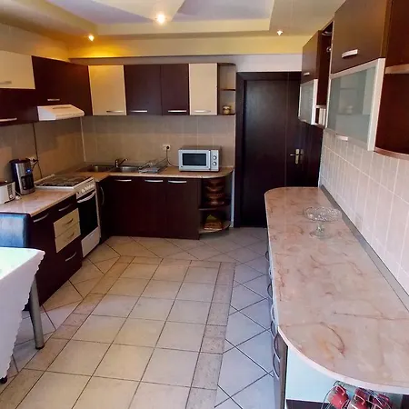 Casa Olteanu Guest house