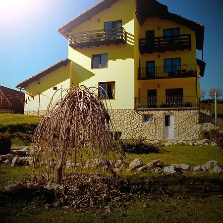 Guest house Casa Olteanu Moieciu de Jos
