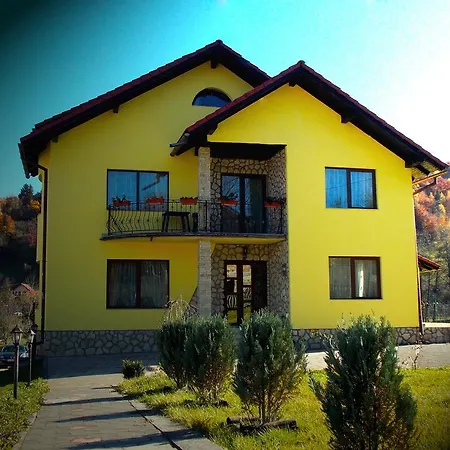 Casa Olteanu Guest house *