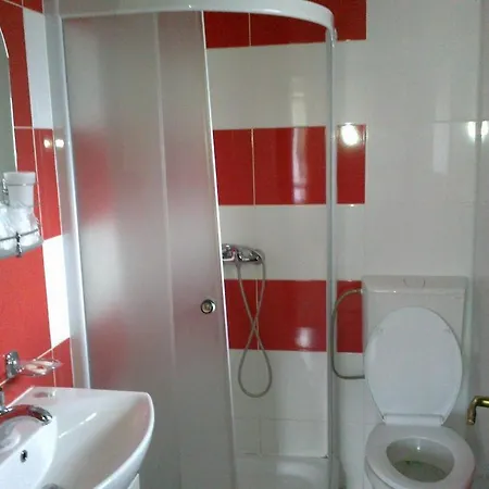 Casa Olteanu Guest house